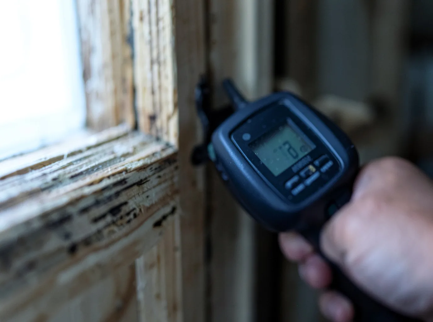 Moisture Inspection And Documentation in Littleton, IL